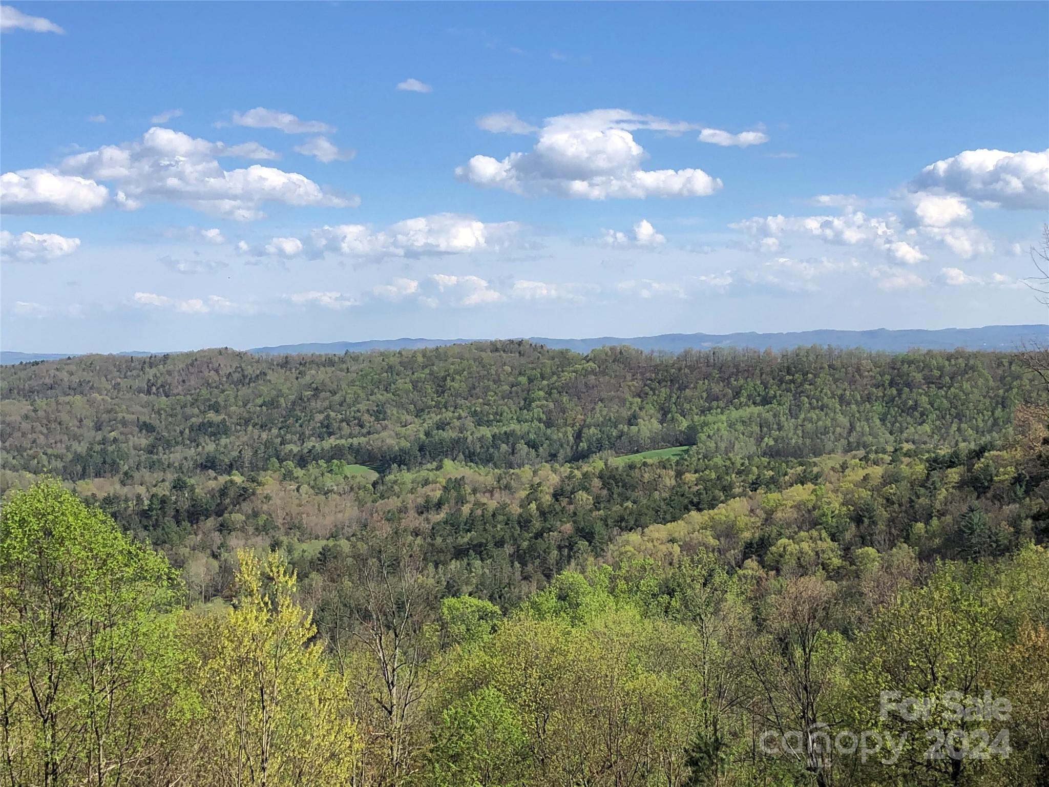 Chestnut Mountain Farms - Land