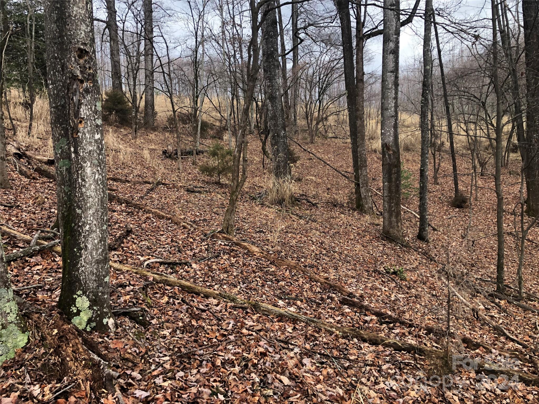 Chestnut Mountain Farms - Land