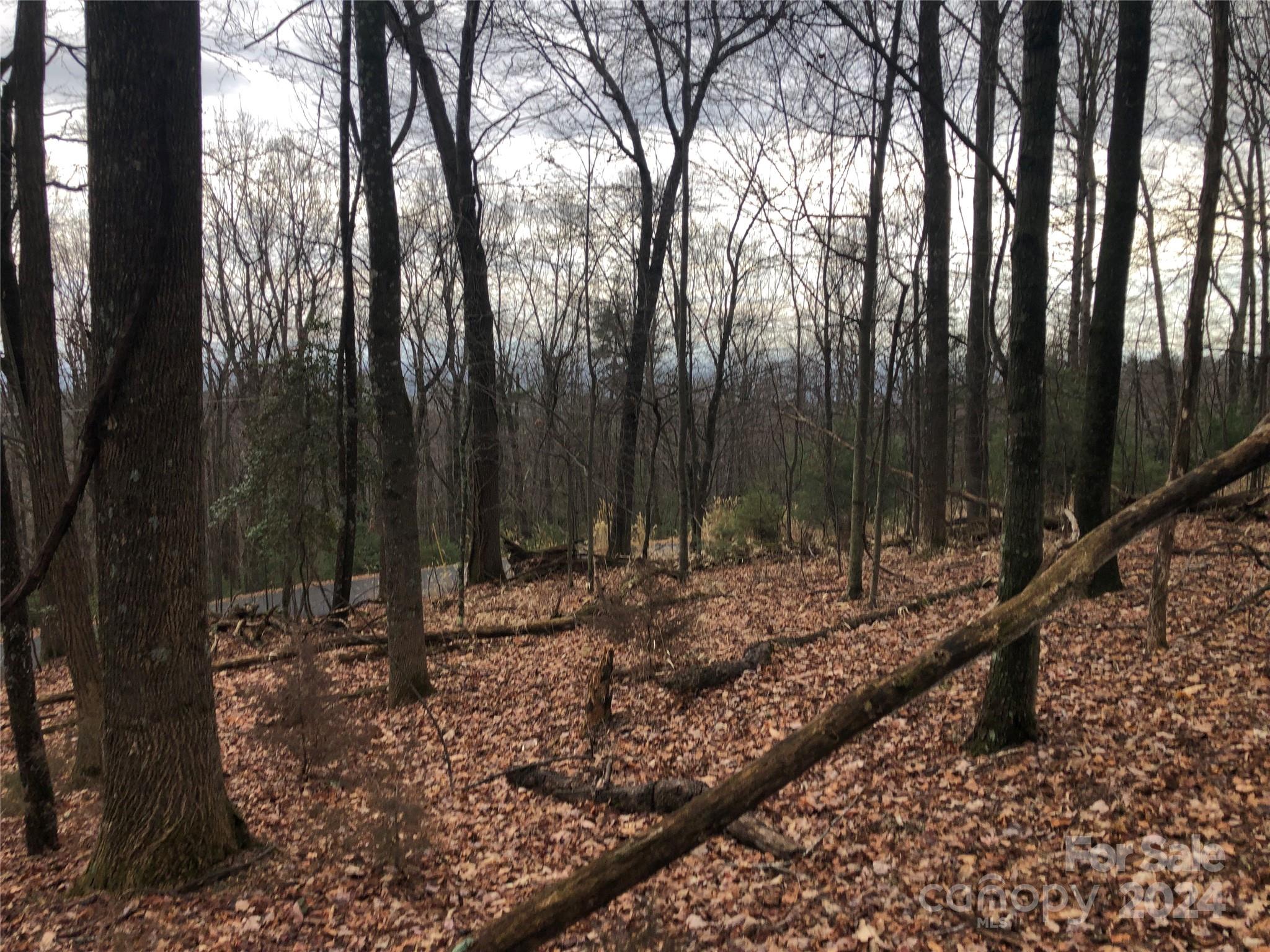 Chestnut Mountain Farms - Land