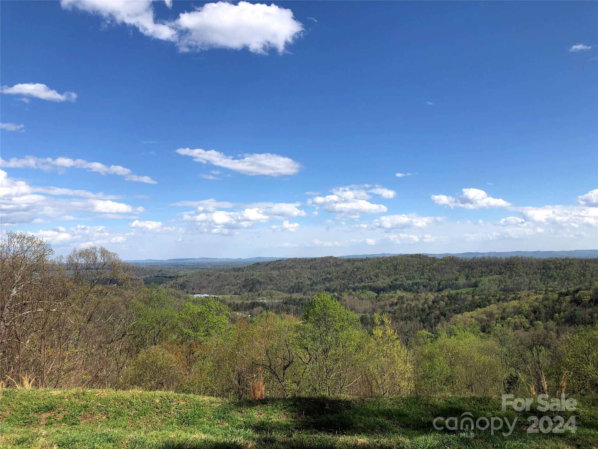 Chestnut Mountain Farms - Land