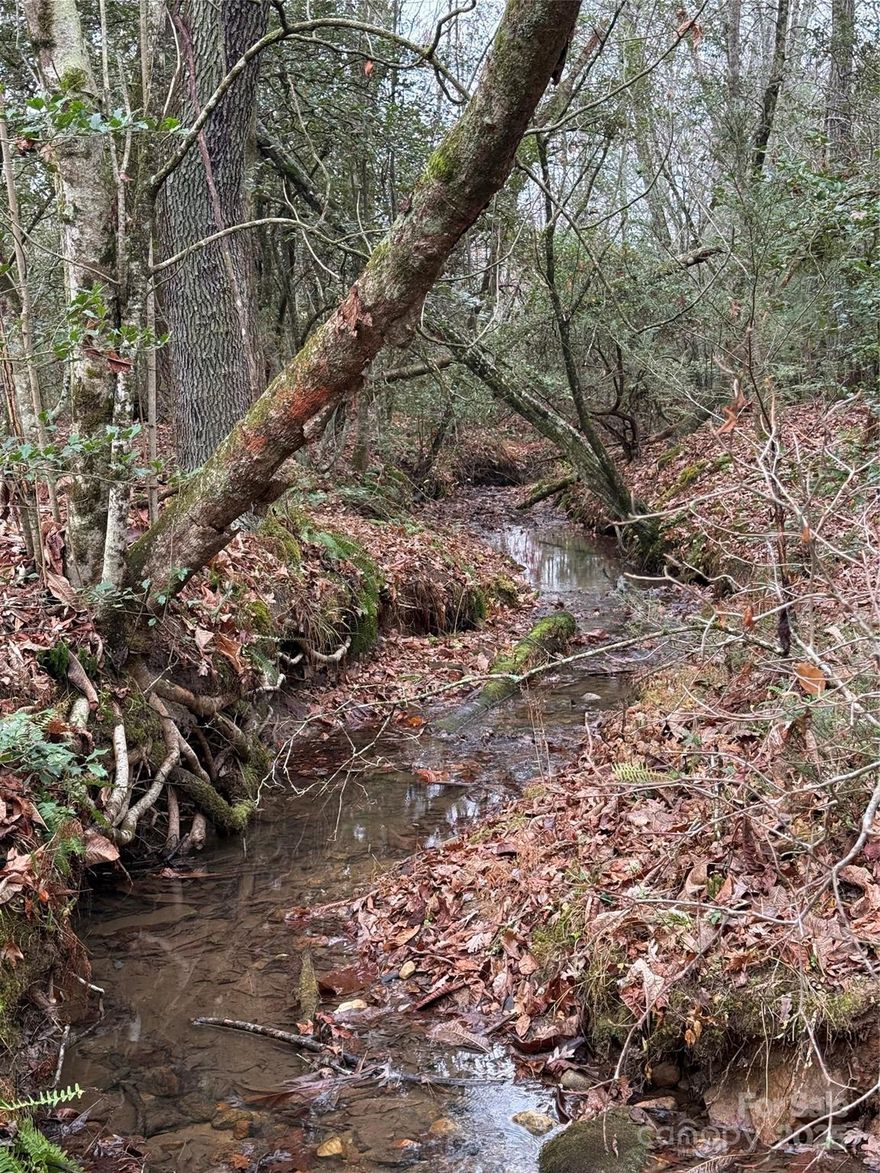 Want to have your own oasis in the mountains? This is your chance! This 11 acre tract offers a blend of privacy, nature, and opportunity. All 11 acres are fully usable giving you the flexibility to build your dream home exactly how you envision it. Seller has contacted a builder and has site plans for a luxury home or barn-dominion should buyer be interested in exploring this option. Enjoy abundant space for recreation, or peace and quiet in the heart of nature at its best. Whether you're looking to build a single-family home, cabin, or other structure types, this land offers incredible potential. Looking for more space? Two adjacent tracts are available, if interested. 

*Public water can be pulled from main road. A septic is needed.**