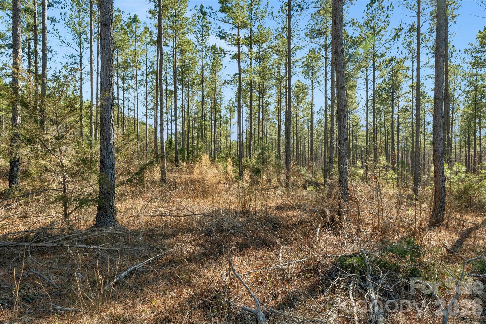 000 Peacehaven Road 1