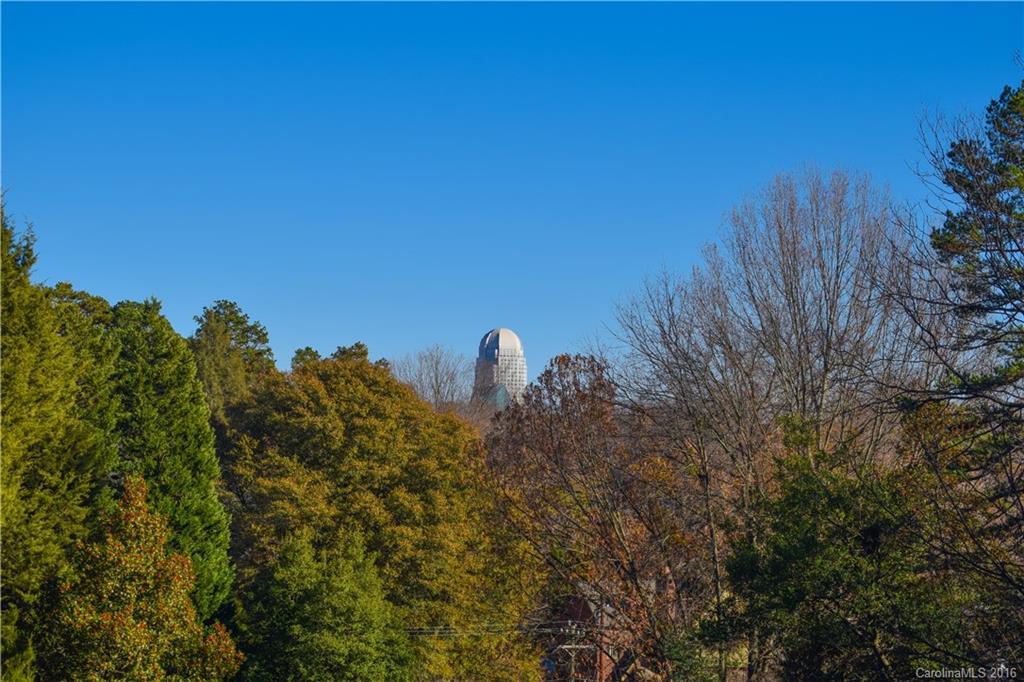 Buena Vista - Residential