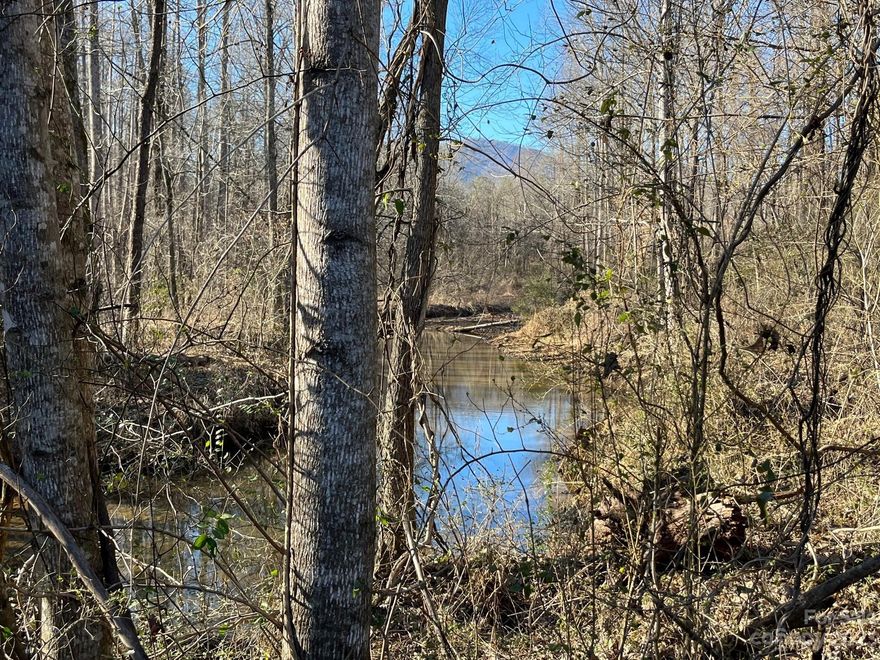 12 acres of unrestricted land at the end of a short gravel State maintained road. Huge White Oak Creek traverses property. Mountain views. Land goes across Medicine Mine Road with about three acres on the other side, long frontage makes this property easy to divide into three lots.