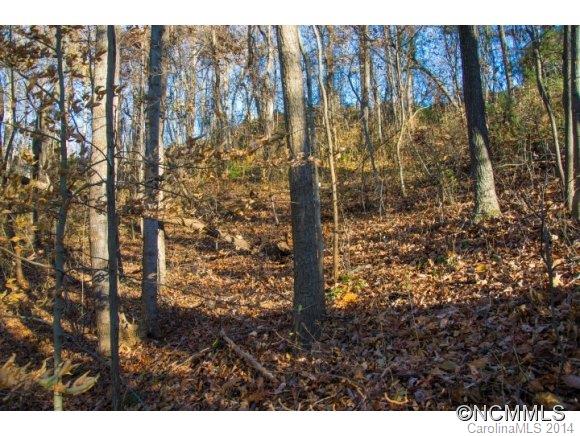 Windswept Acres - Land