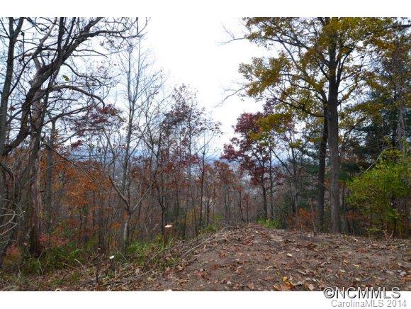 Windswept Acres - Land