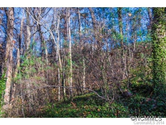 Windswept Acres - Land