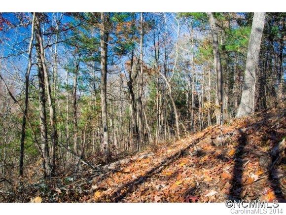 Windswept Acres - Land