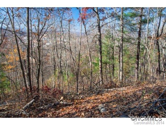 Windswept Acres - Land