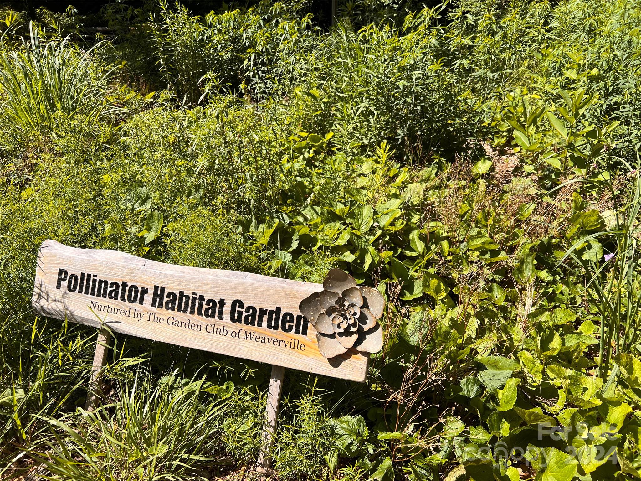 Water Pointe - Residential