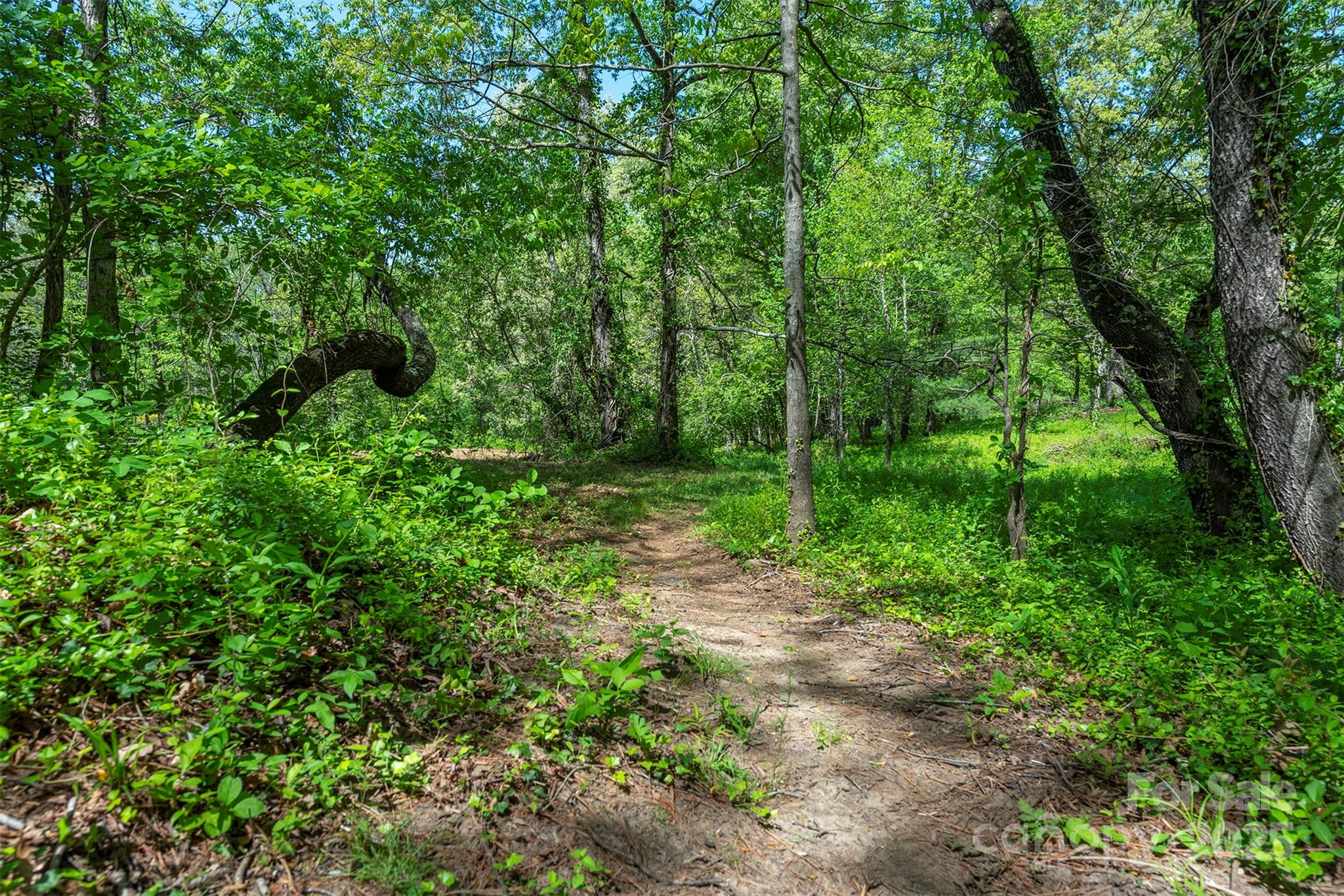 Sovereign Oaks - Land