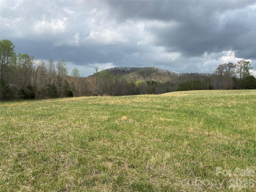 This +/- 41-acre tract offers the perfect blend of open land and natural beauty, featuring: 10+ acres of open tillable or pasture land – ideal for farming, livestock or food plots. An internal road system exists and will get you most of the way through the property. Creeks meander through the property – adding charm, functionality and beauty. Stunning mountain views – a peaceful retreat with unmatched scenery. Abundant wildlife – whitetail deer, turkey, bear and more for the avid hunter.