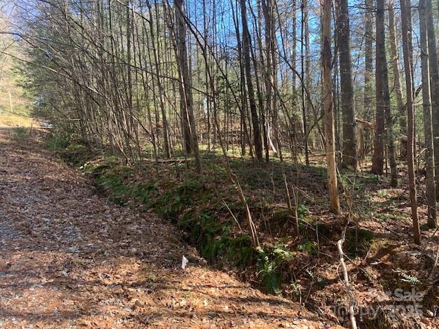 TRACT 4 JUSTUS VIEW Road TRACT 4