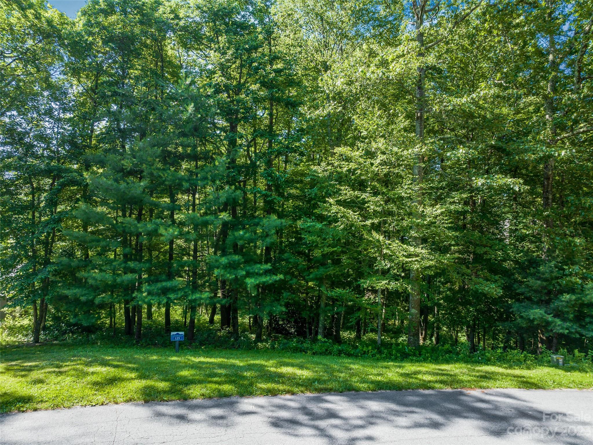 LOT 125 Thunder Mountain Road