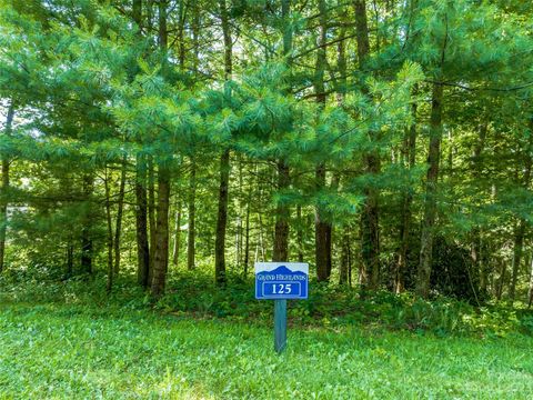 LOT 125 Thunder Mountain Road Hendersonville NC 28792