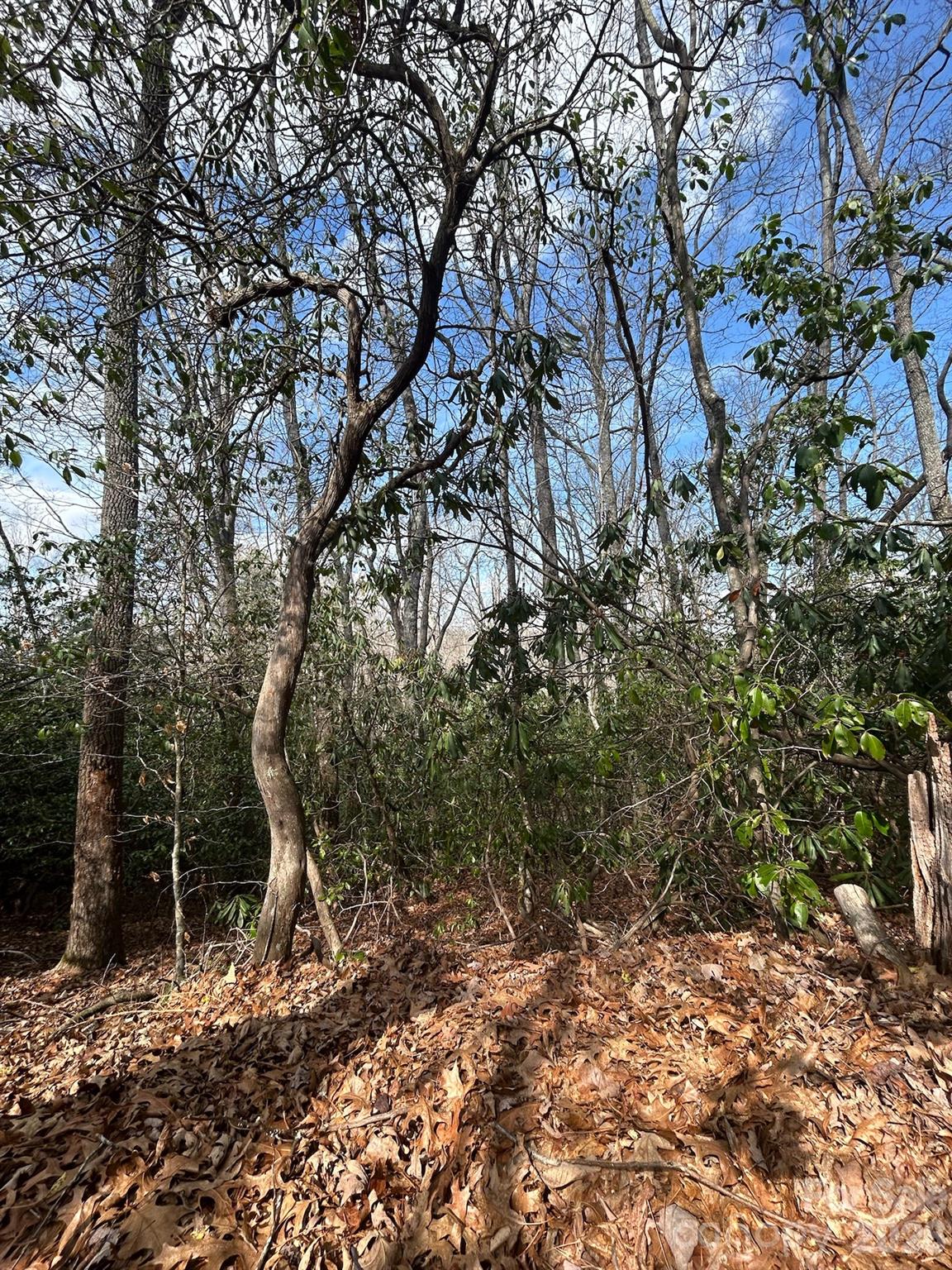 High Peak Lake Estates - Land