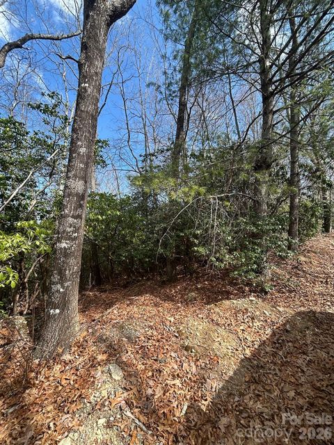 Lot 37 High Peak Road Hendersonville NC 28739