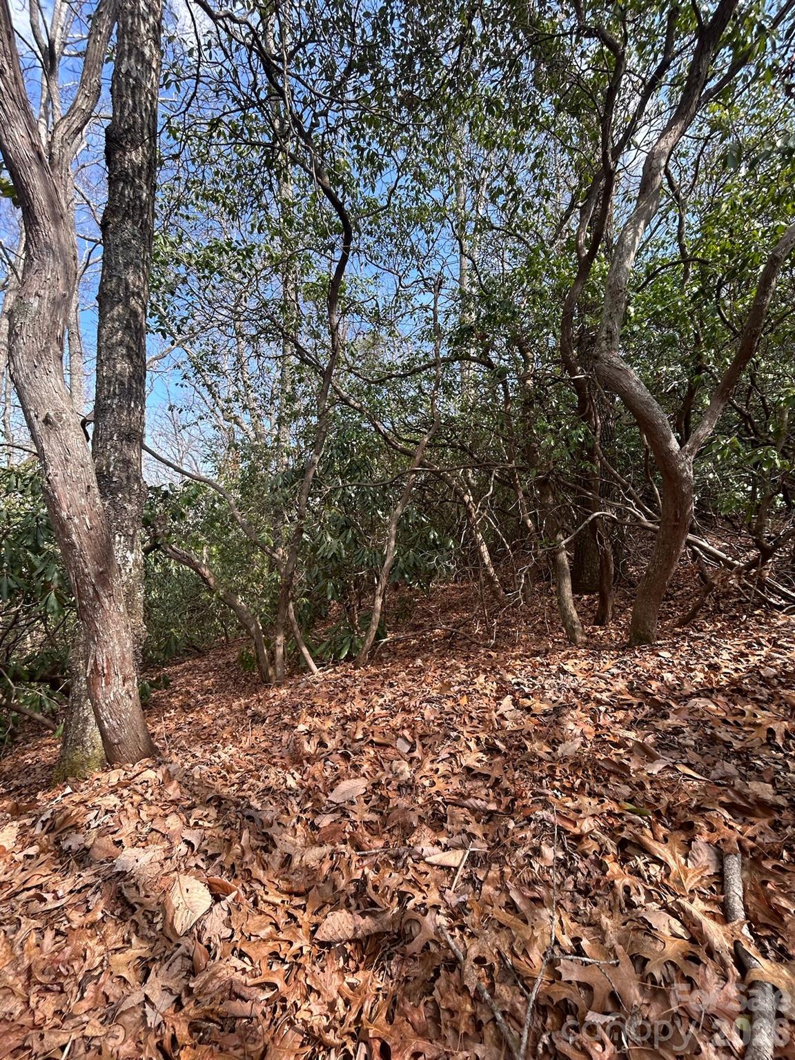 High Peak Lake Estates - Land