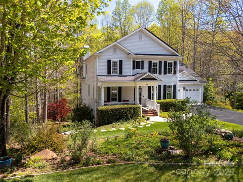 85 Gray Duster Circle Biltmore Lake NC 28715