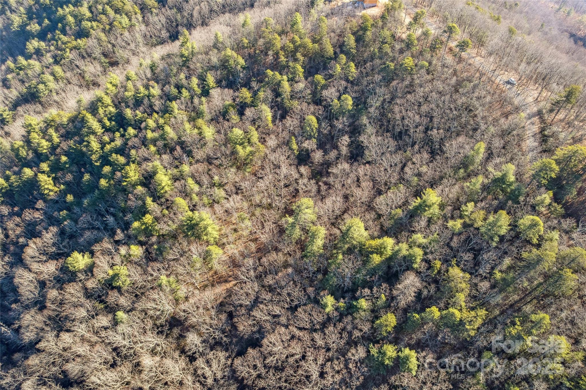 Pine Mountain Lakes - Land