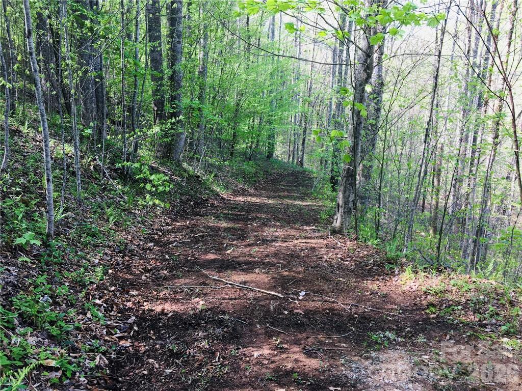 Photo 1 of 2 — 99 Fern Hill Drive, Mars Hill, NC 28754