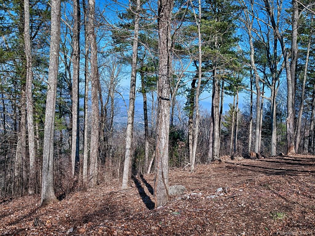 Reynolds Mountain - Land