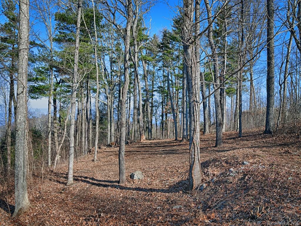 Reynolds Mountain - Land