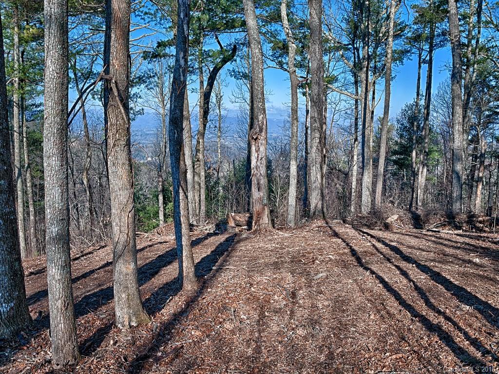 Reynolds Mountain - Land