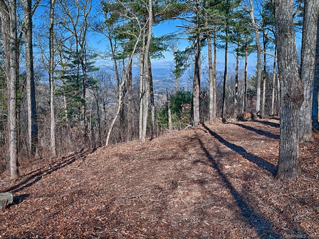 Reynolds Mountain - Land