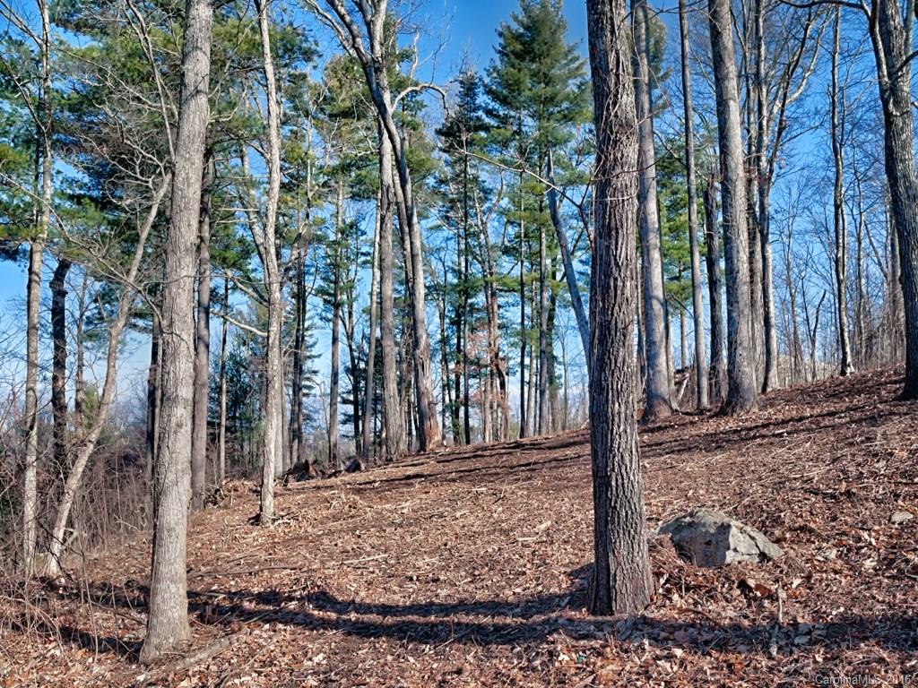 Reynolds Mountain - Land