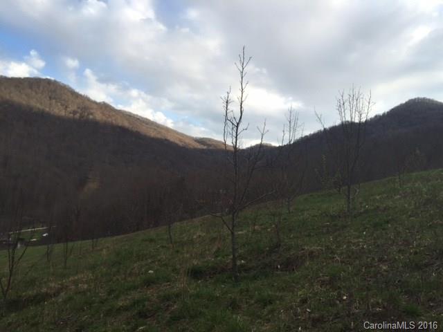 Big Sandy Mush - Farm