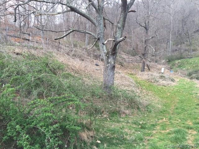 Big Sandy Mush - Farm