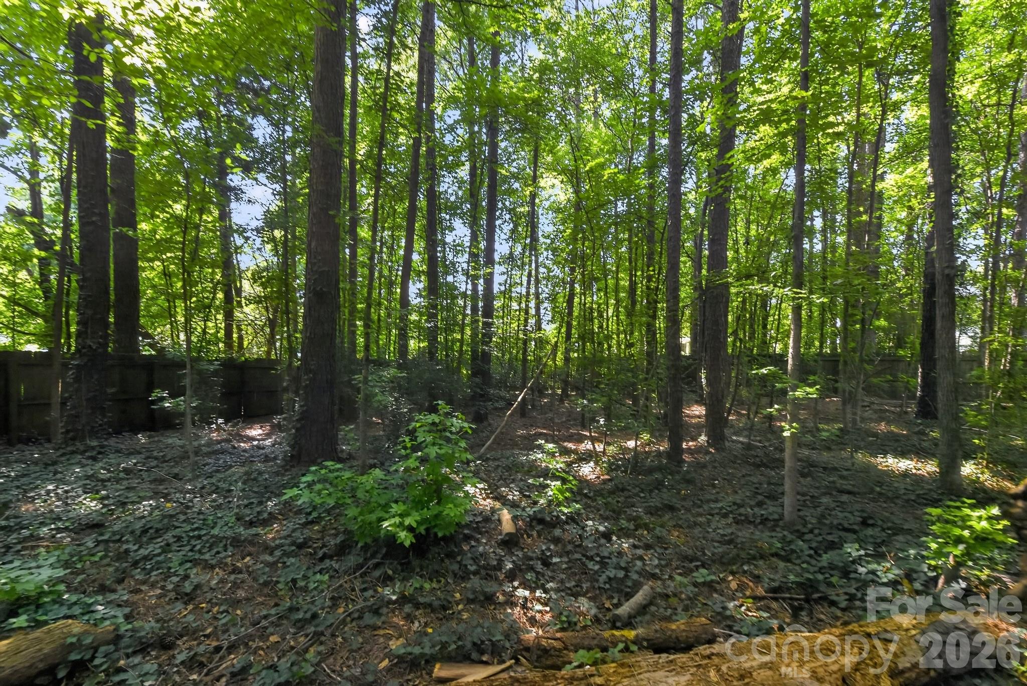 1306 Cool Mist Court