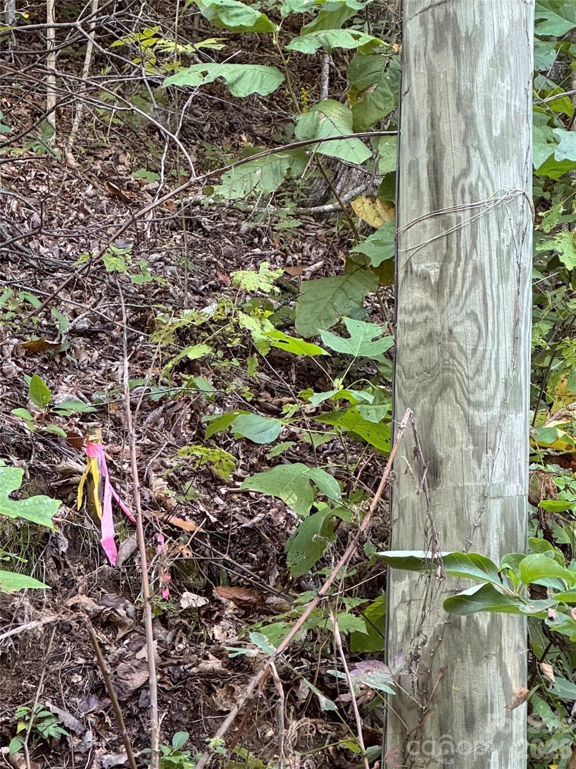 TBD Red Oak Forest Road