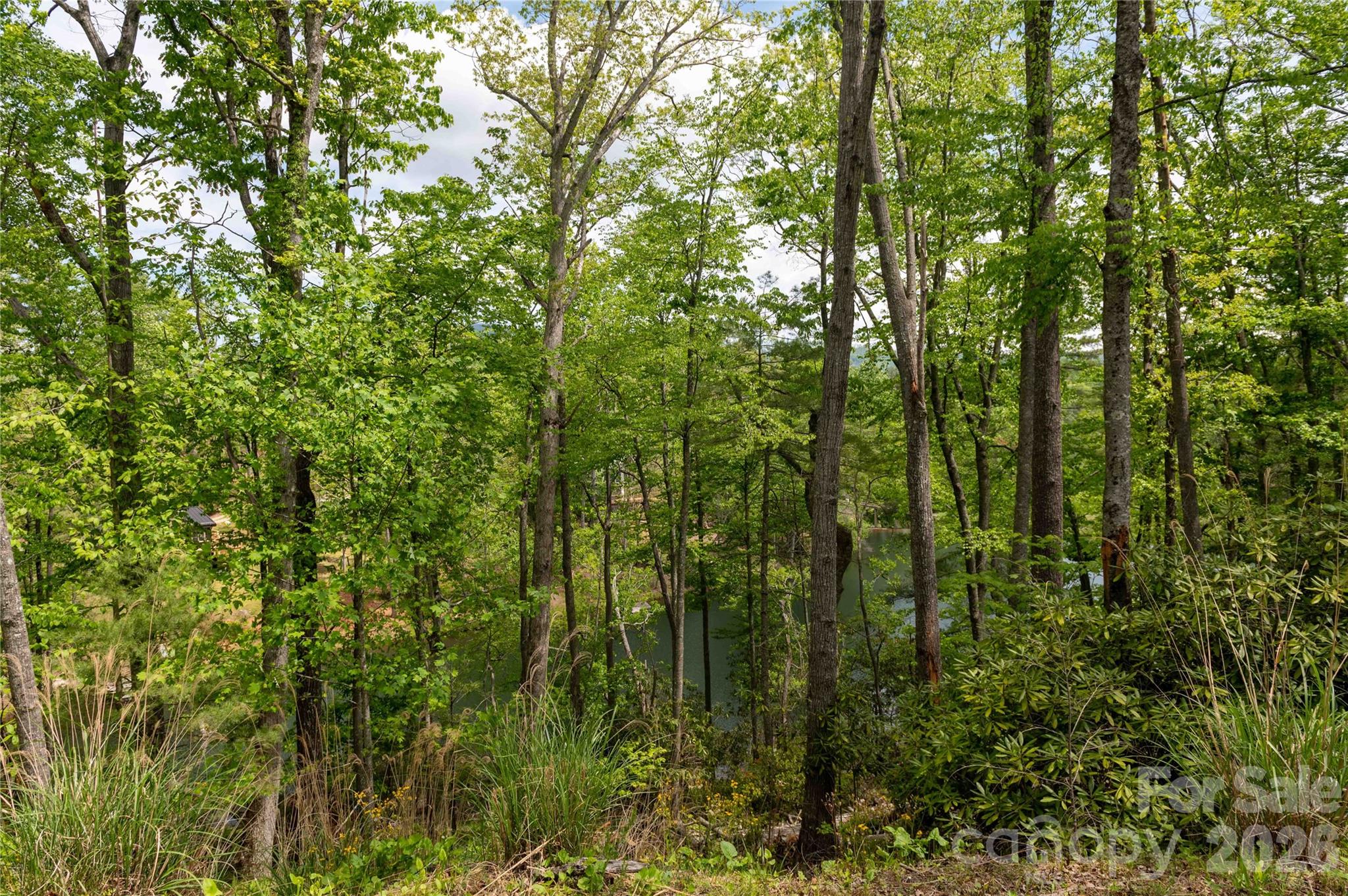Deer Park Lake - Land