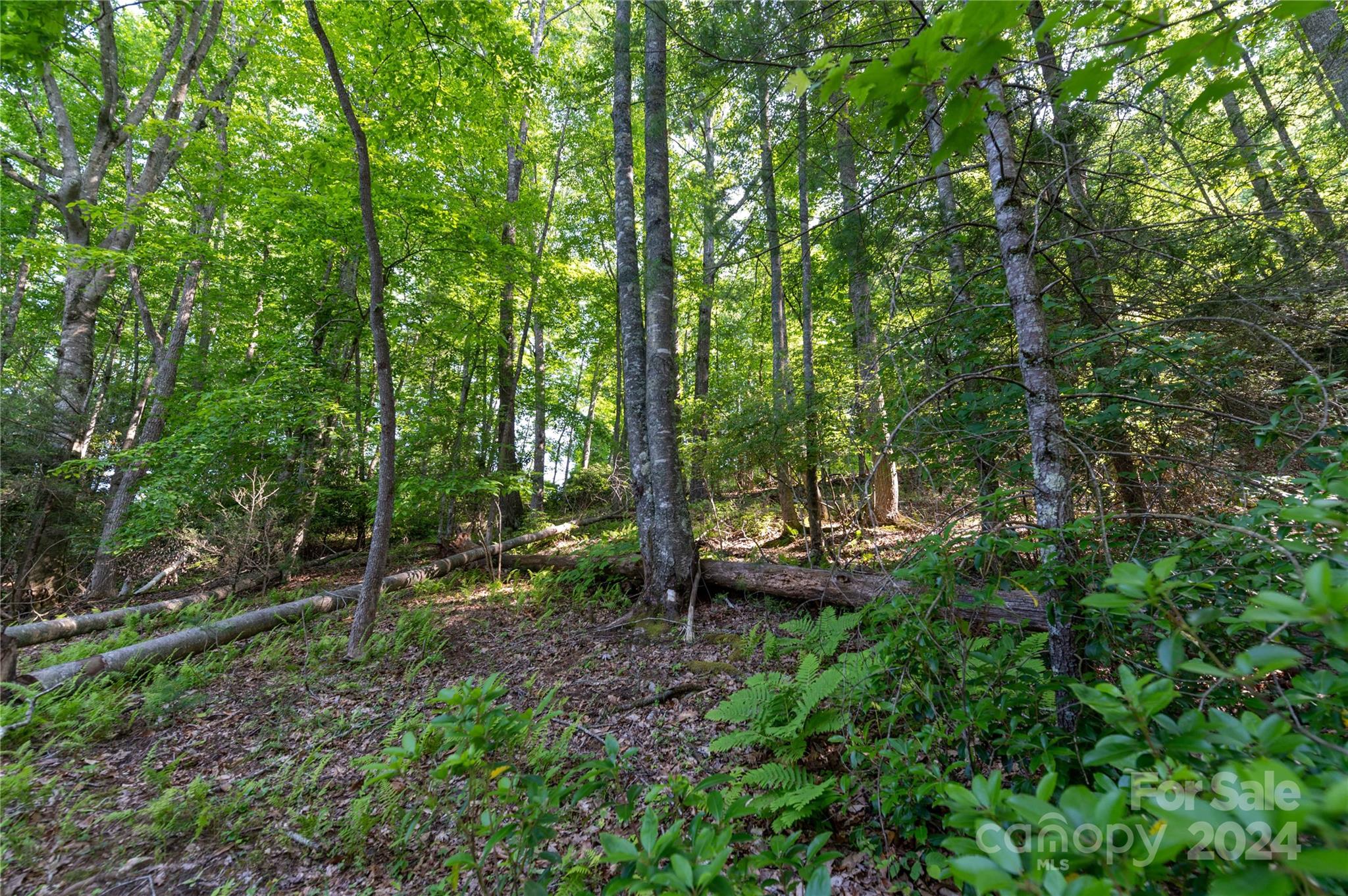 Deer Park Lake - Land