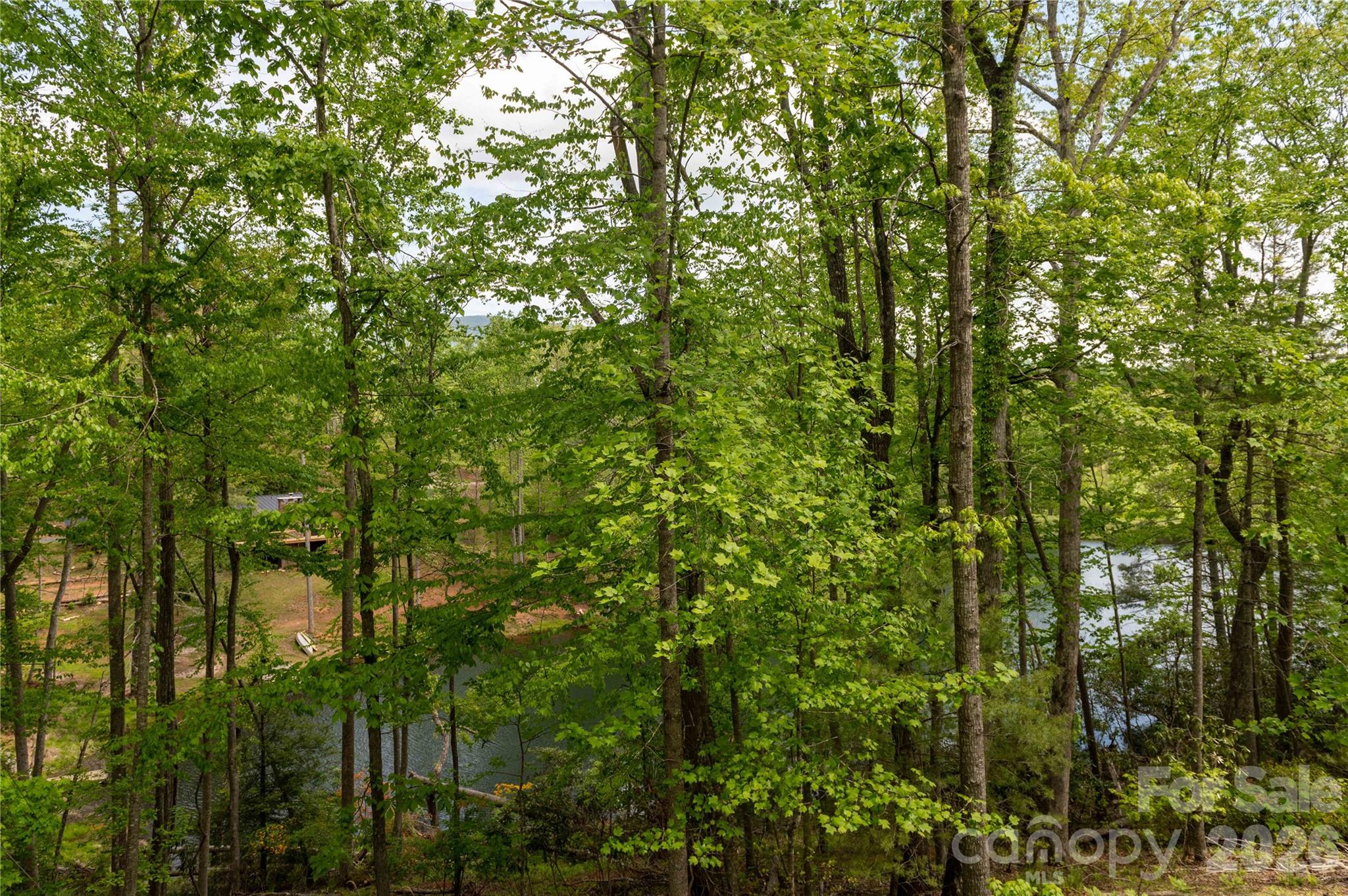 Deer Park Lake - Land