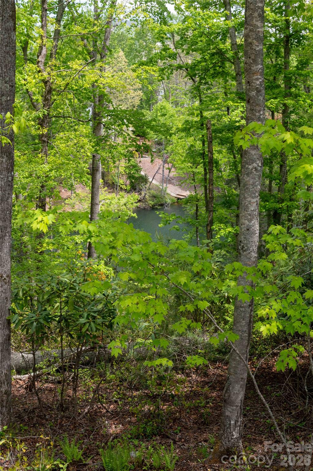 Deer Park Lake - Land