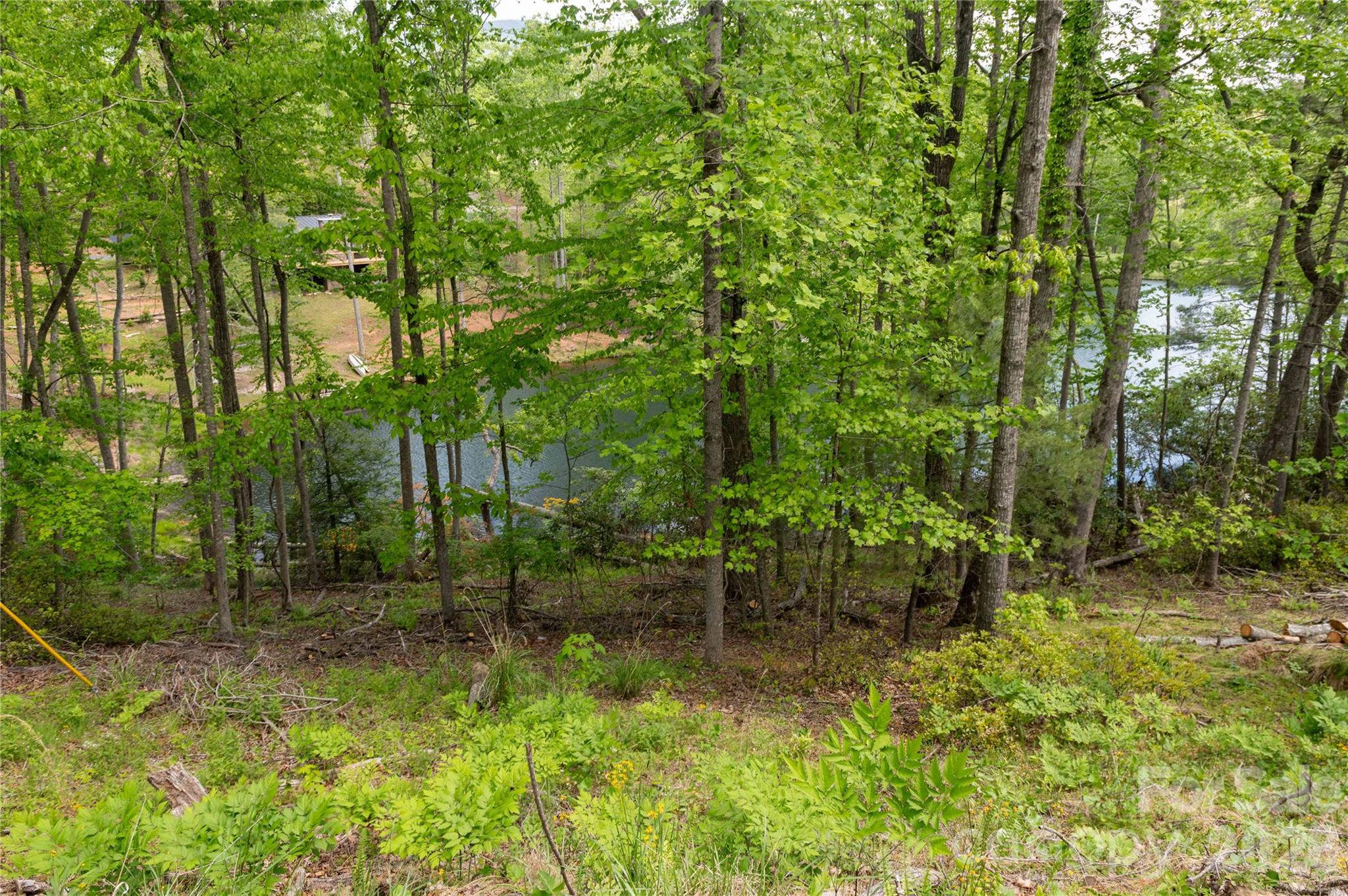 Deer Park Lake - Land