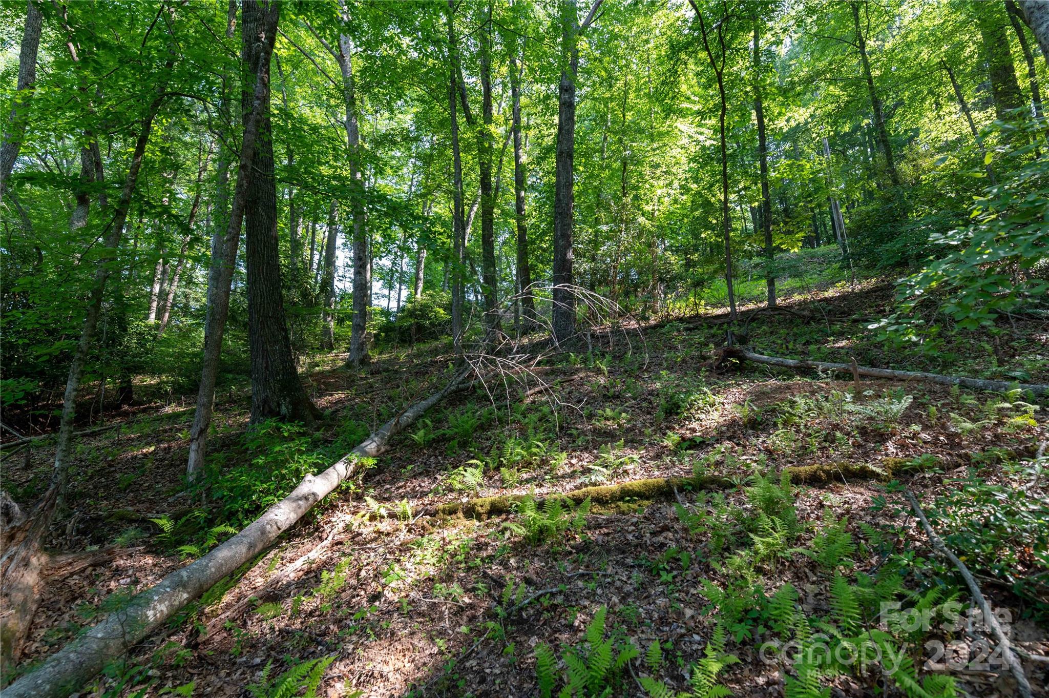 Deer Park Lake - Land