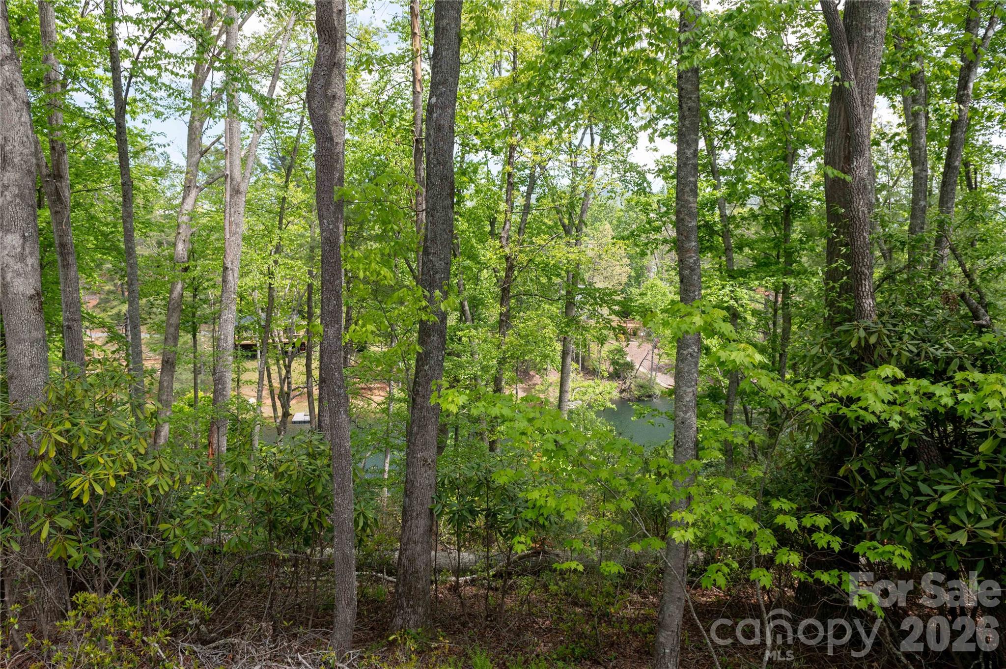 Deer Park Lake - Land