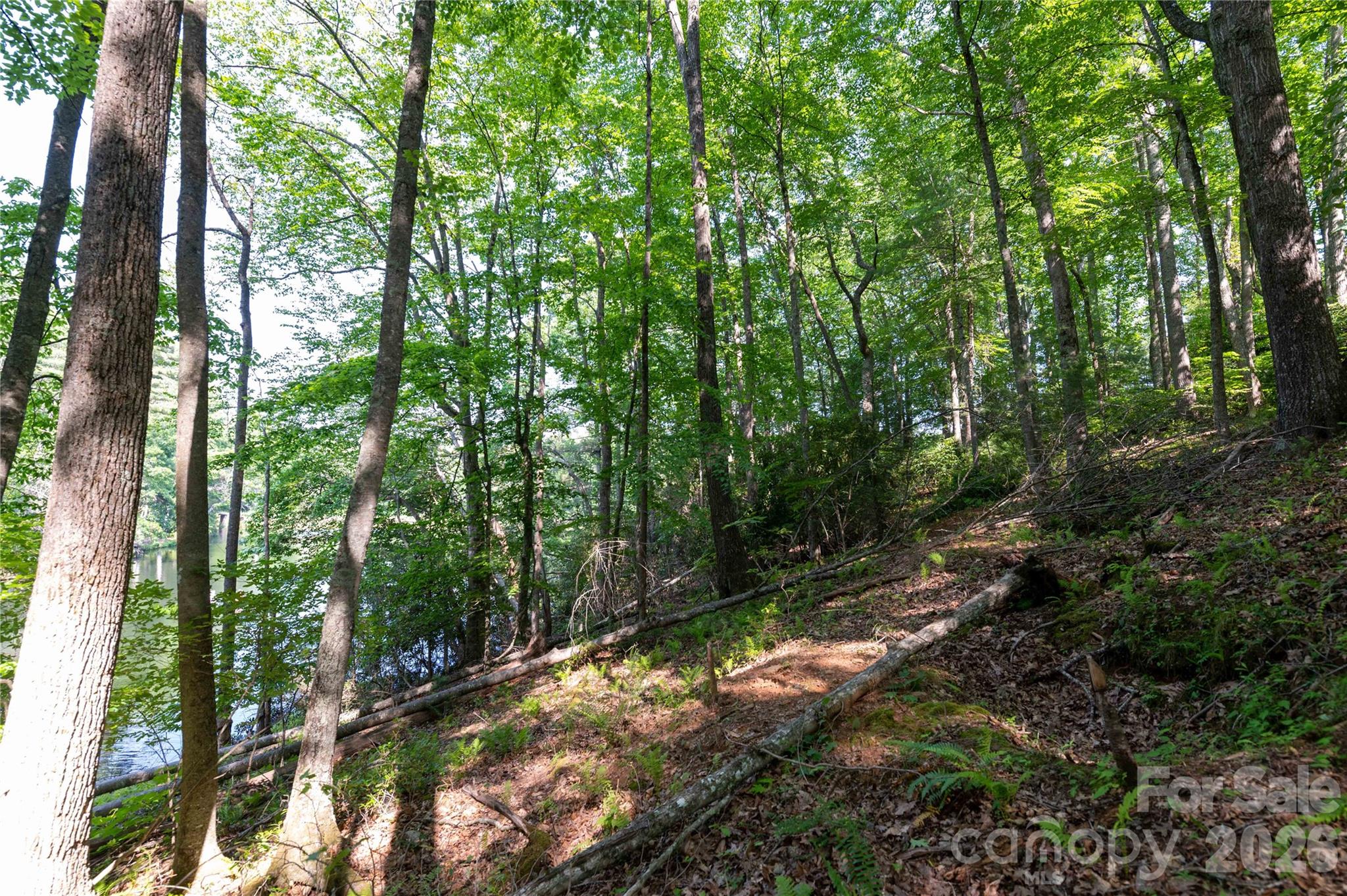 Deer Park Lake - Land