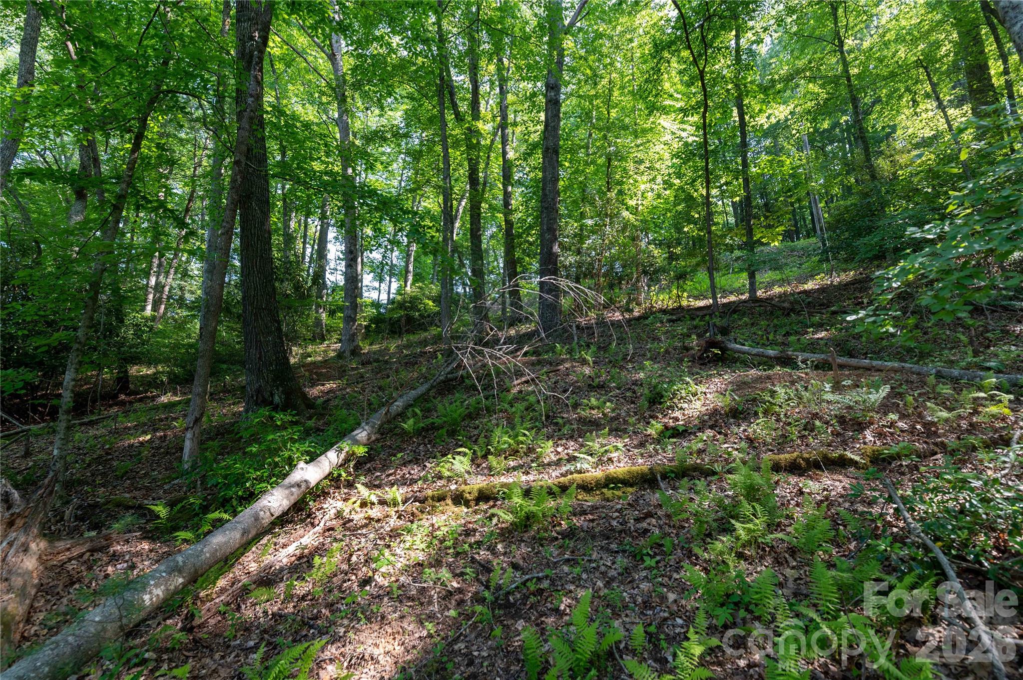 Deer Park Lake - Land