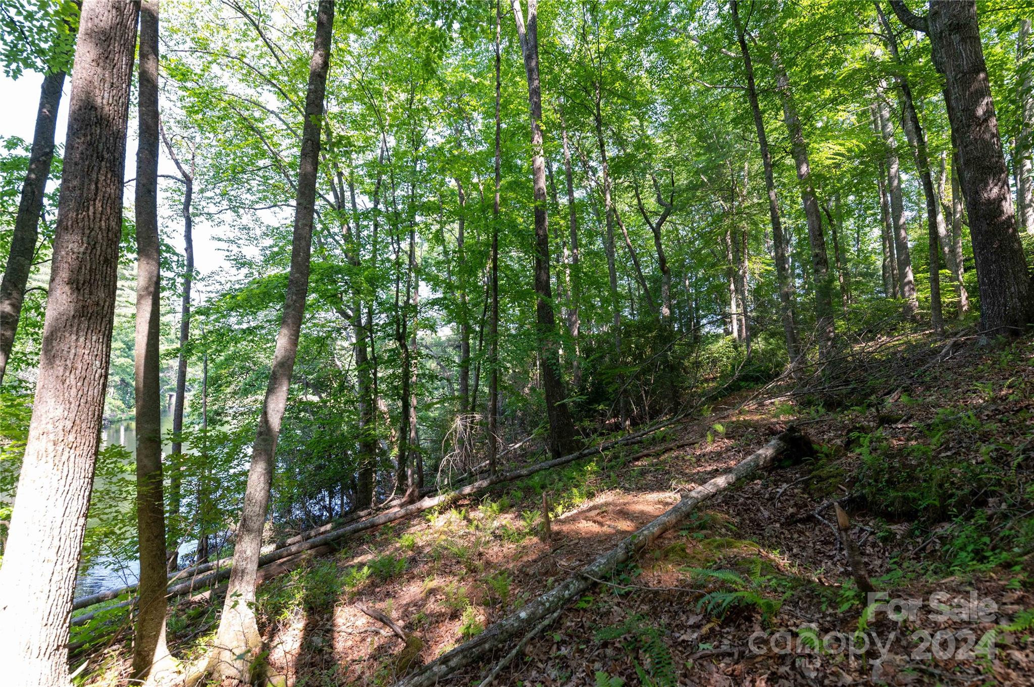 Deer Park Lake - Land