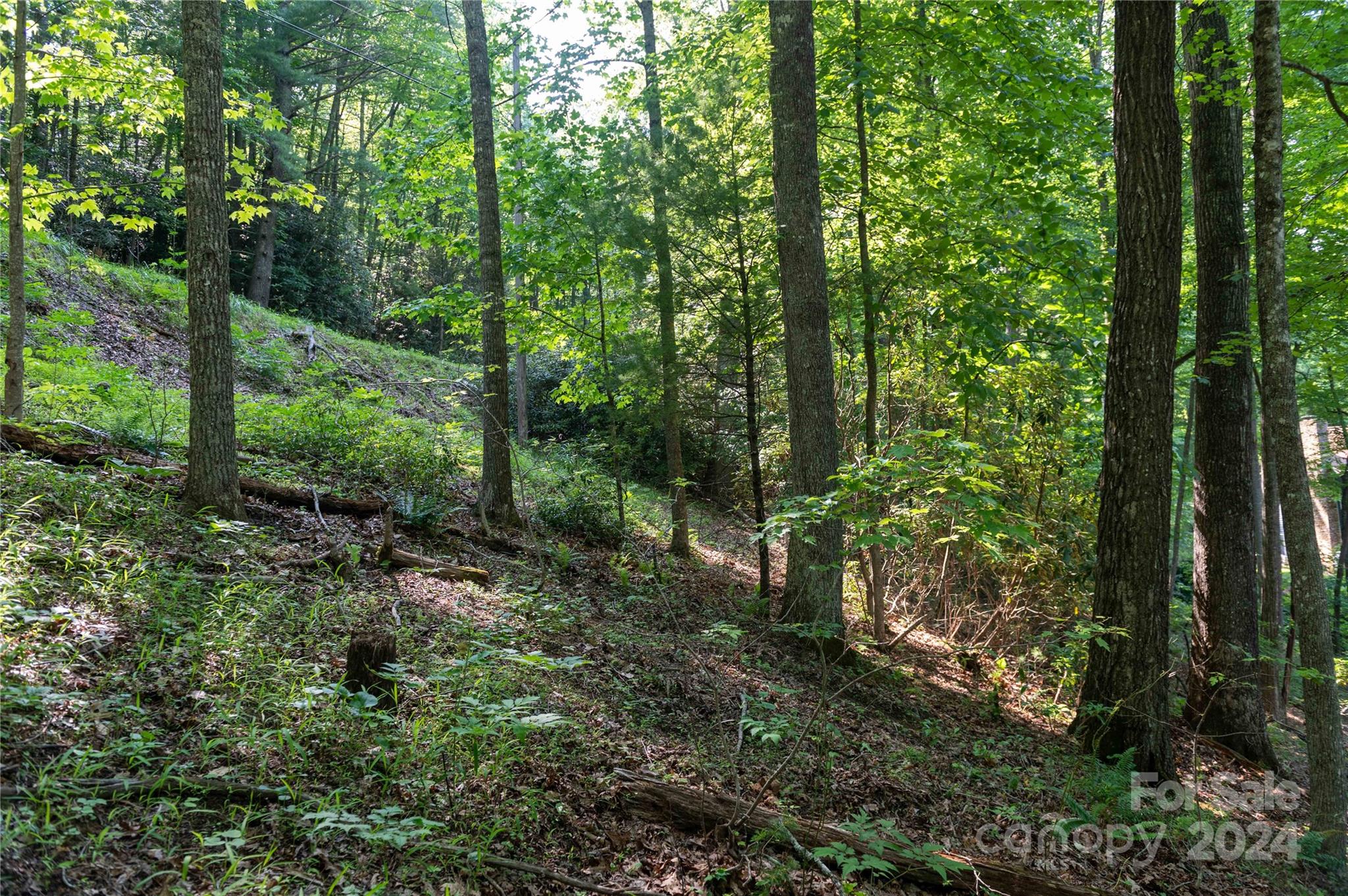 Deer Park Lake - Land