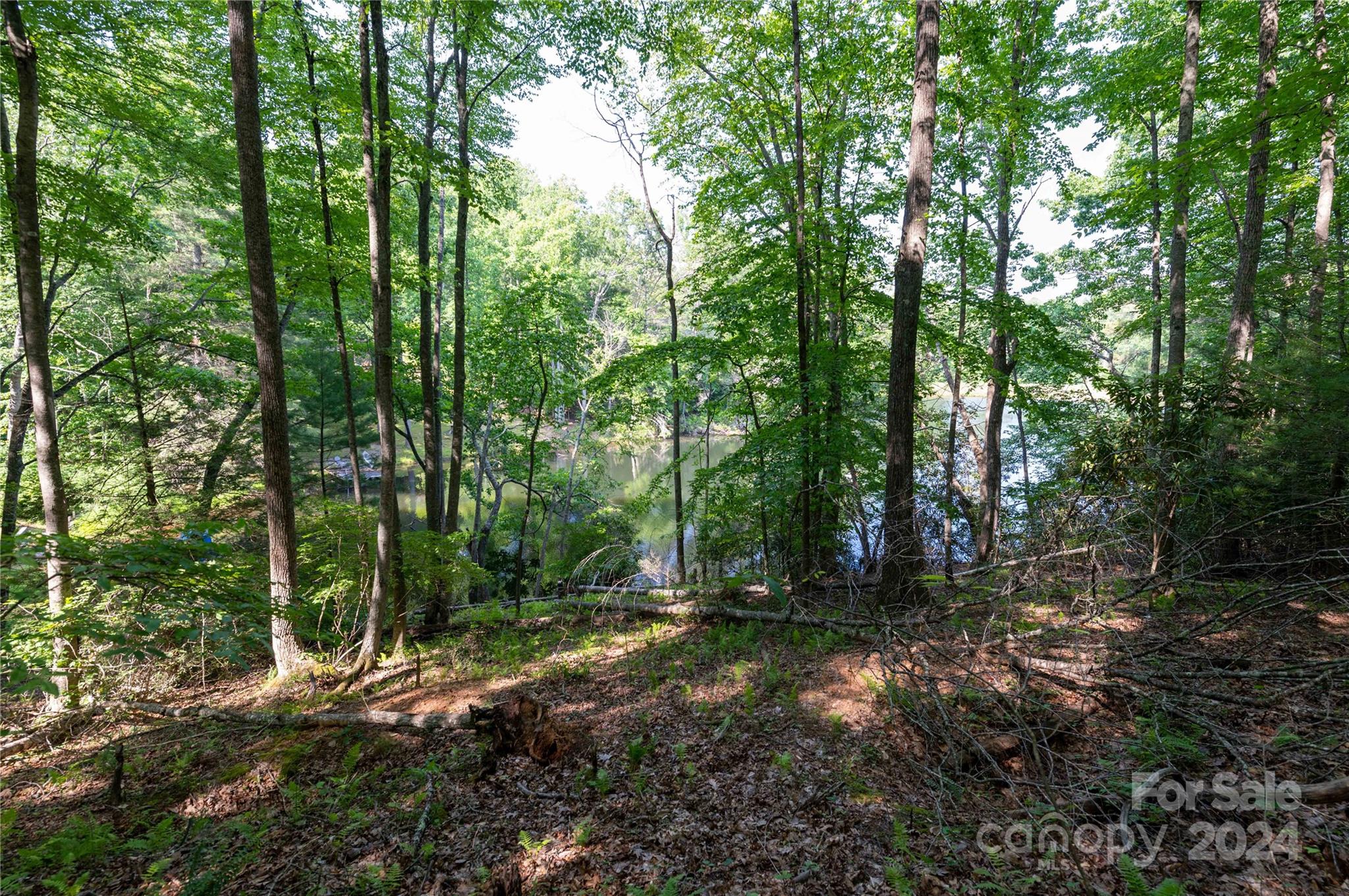 Deer Park Lake - Land