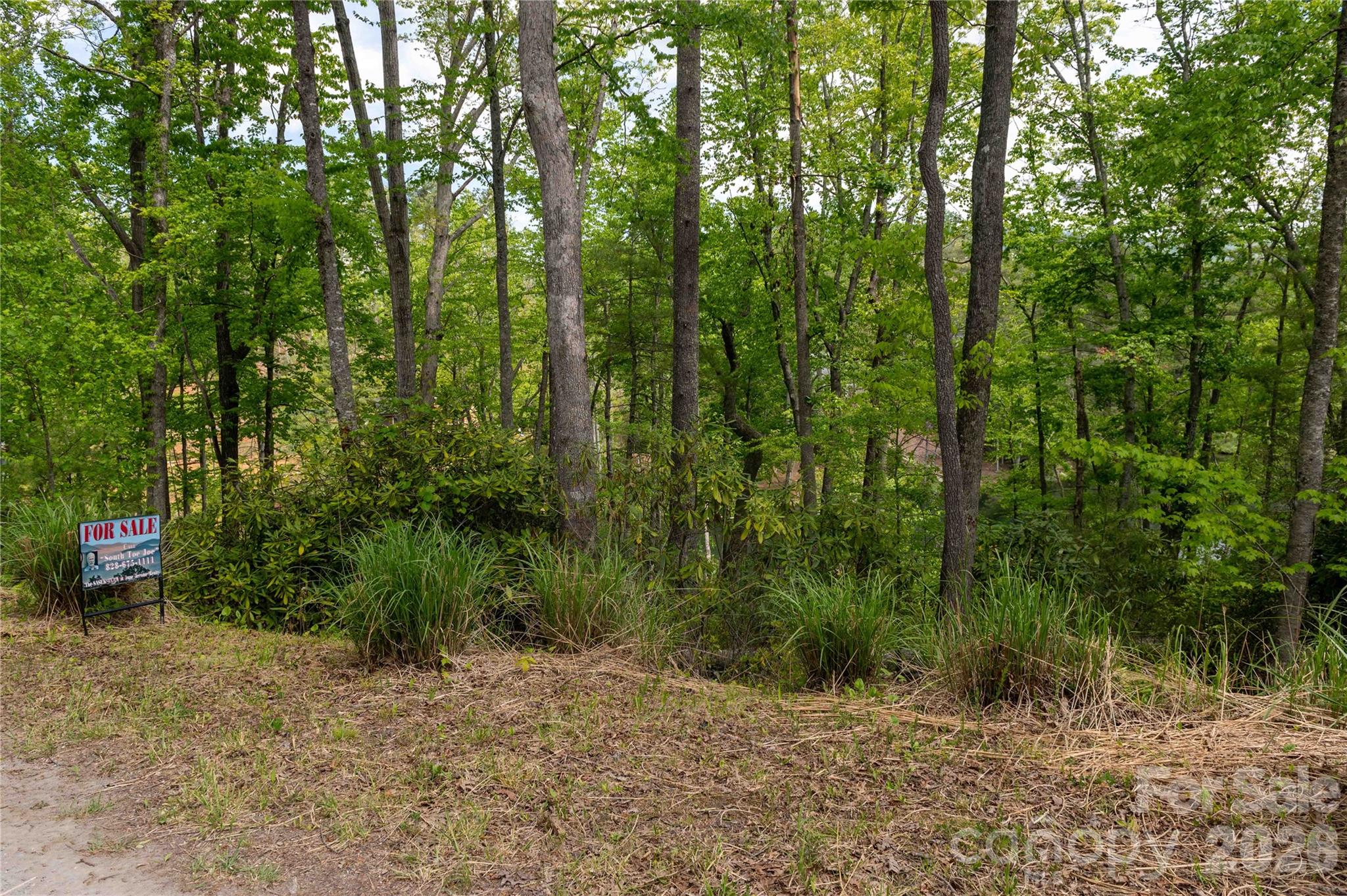 Deer Park Lake - Land