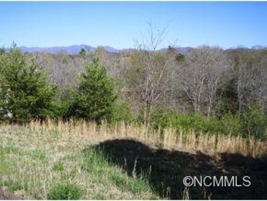 Easy access, easy living and a quiet country feel on dead end road! Mostly clear lot in established, restricted subdivision 5 minutes from Main Street. Beautiful long range views & close mountain views. Quiet community of very nice homes. City sewer via community pump system. Combine with adjoining lot for $70k! Priced to sell! ($2100 special road repaving assessment pending).