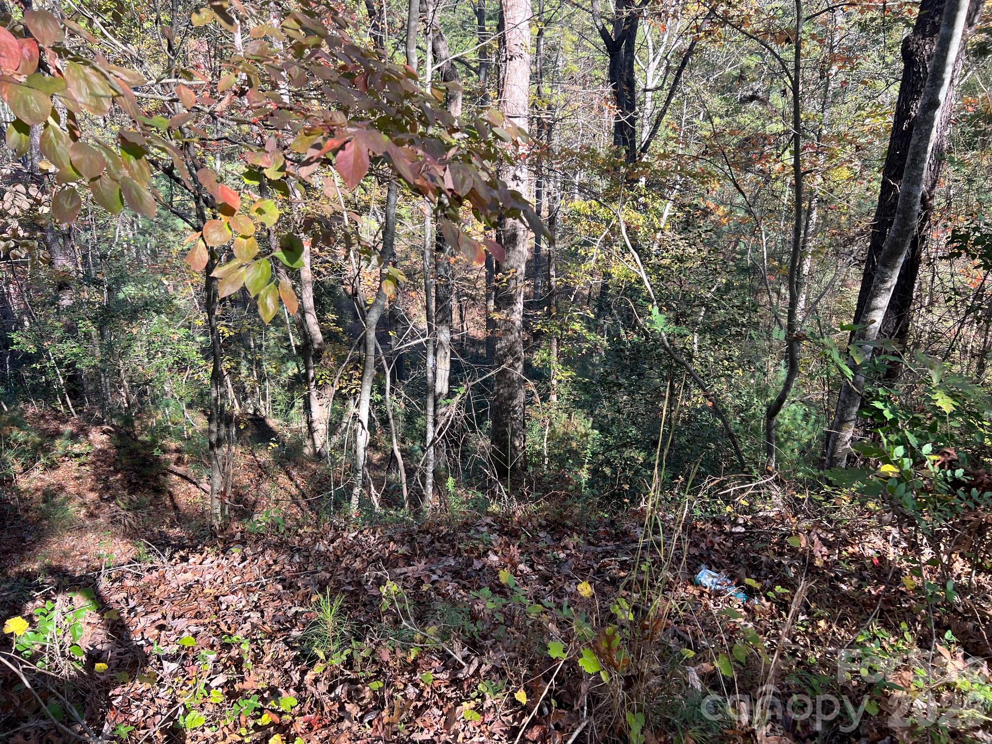 0 Pea Patch Lane 4