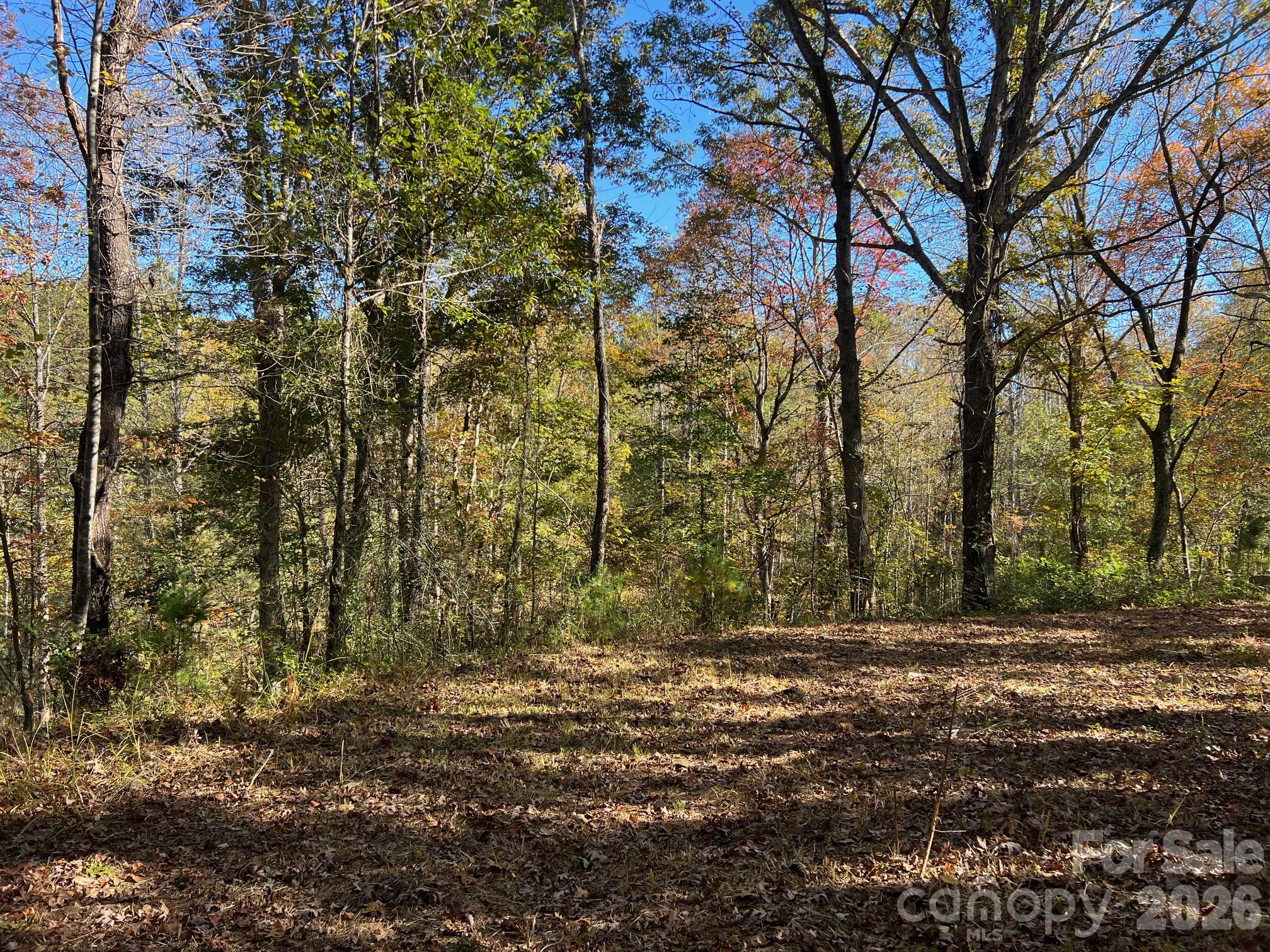 0 Pea Patch Lane 4